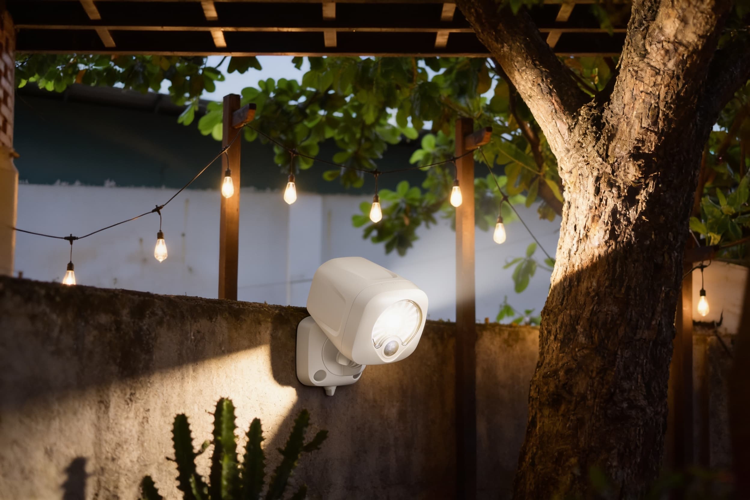 A security camera mounted low