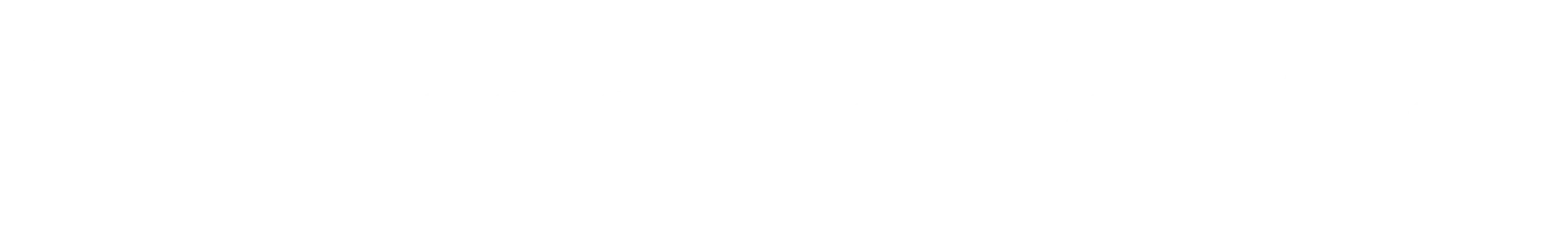 Service Robot Co.